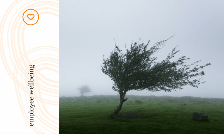 Our recipe for resilience