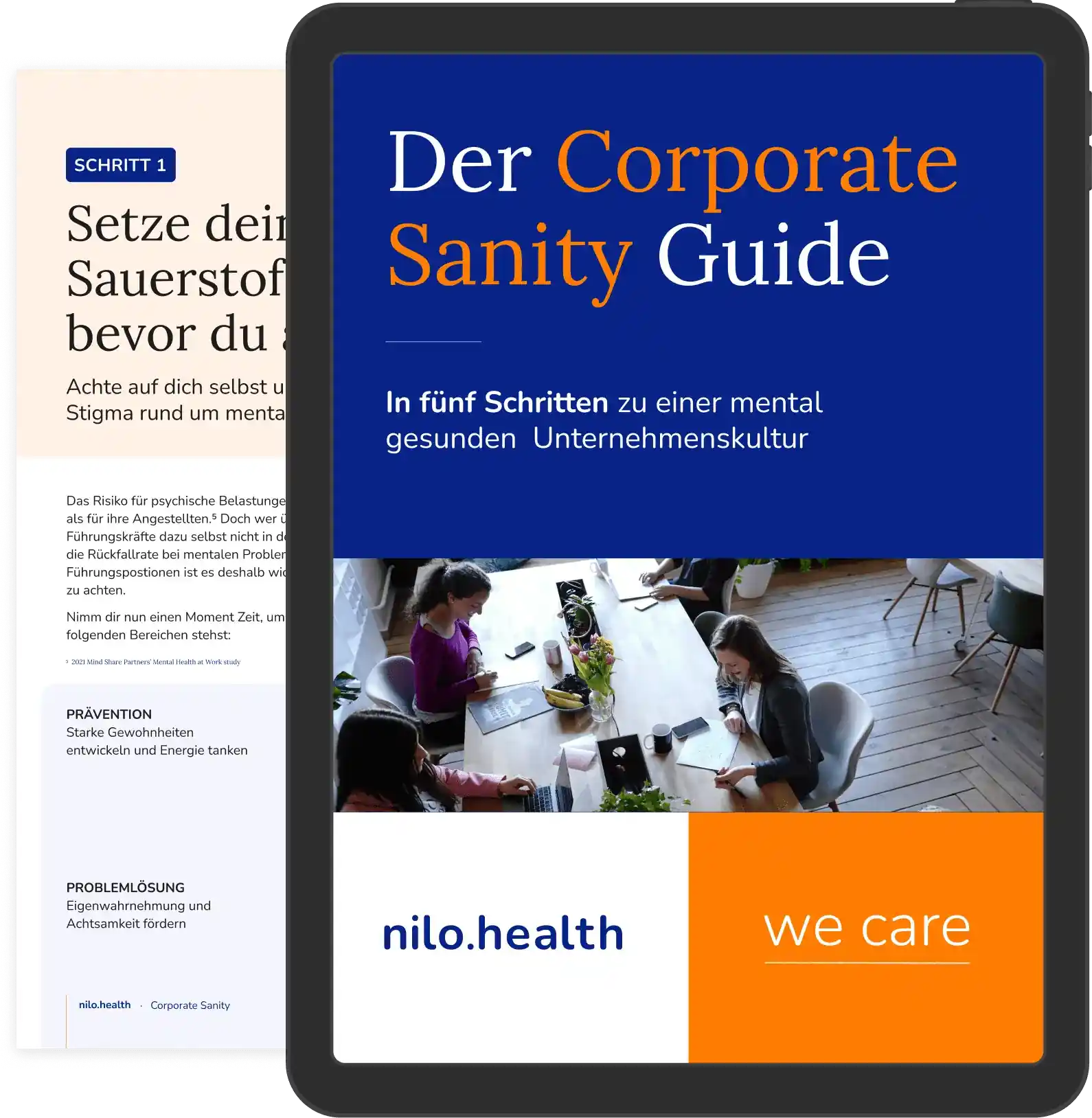 Corporate Sanity Guide Preview