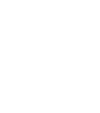 protect-icon