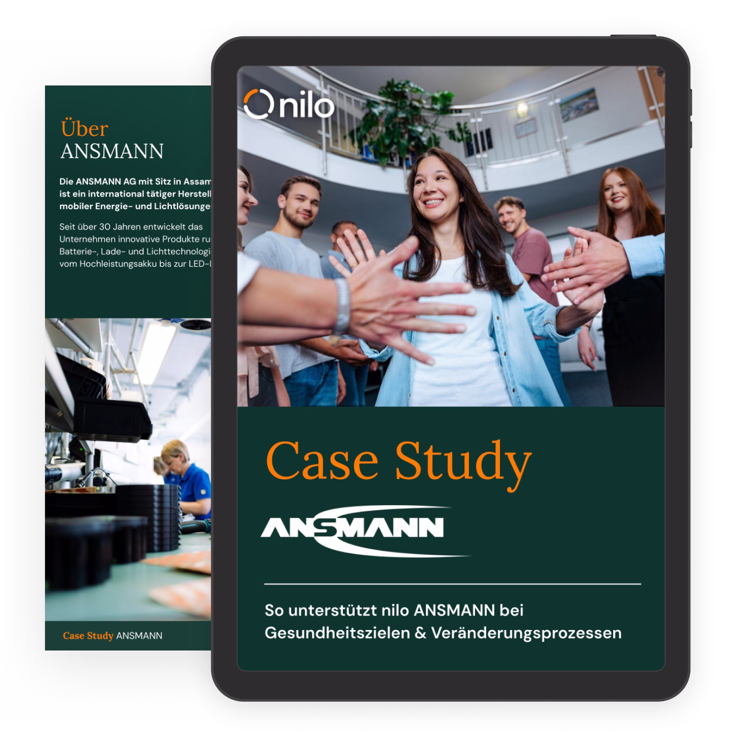 Case Study Ansmann
