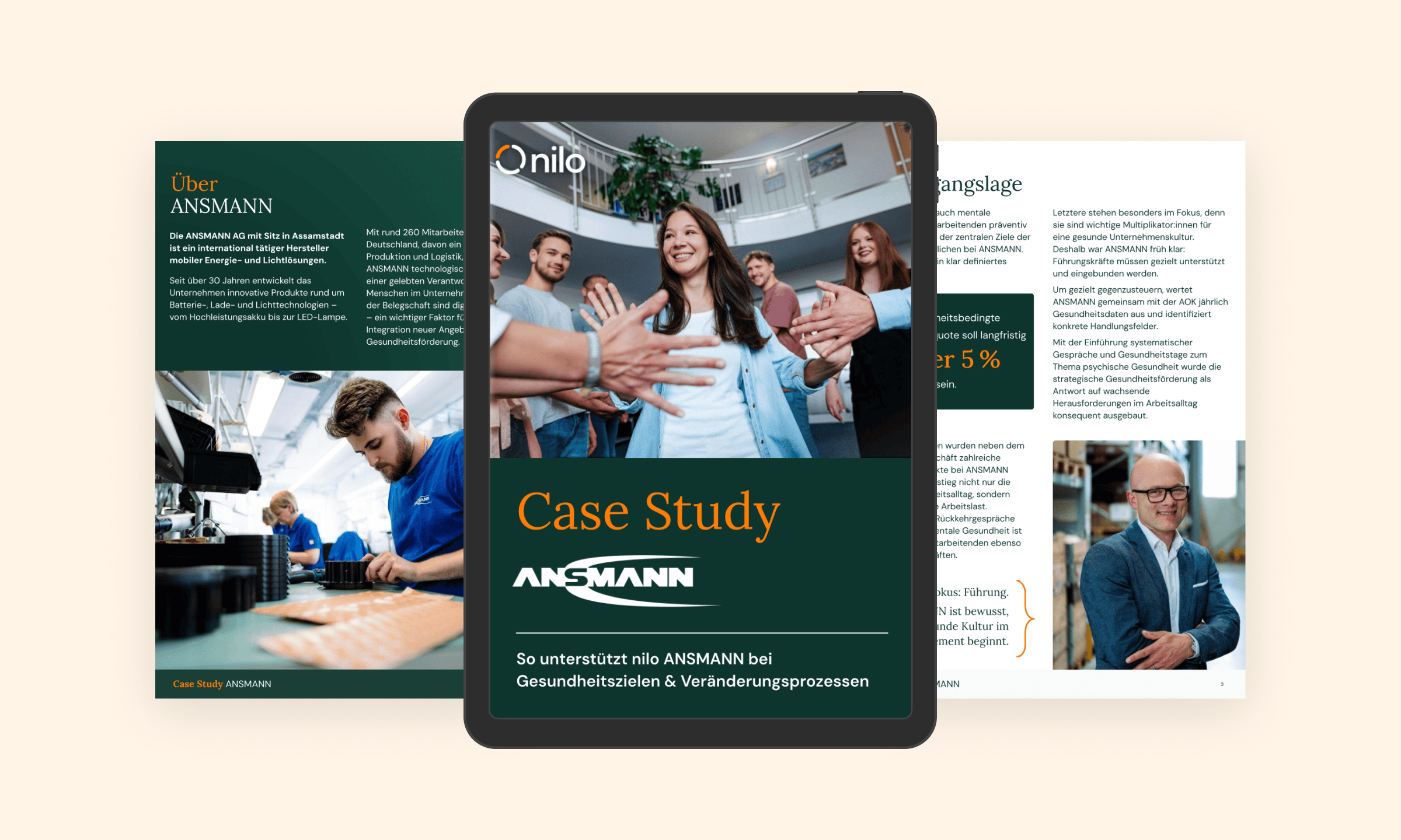 Case Study ANSMANN_image